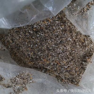 喜欢阳台种菜的看过来，教您制作绝不会臭的磷钾复合肥