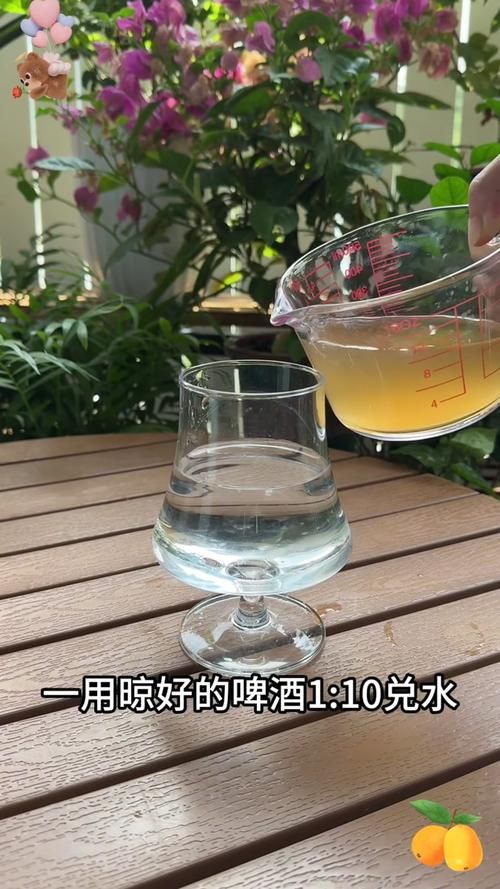 啤酒可以养花吗_啤酒可以养花吗?