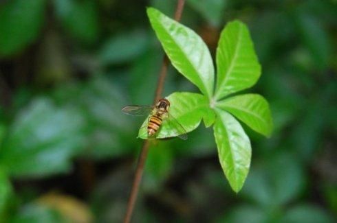 10种适合在办公室种植的植物，净化空气，每天看着都拥有好心情！