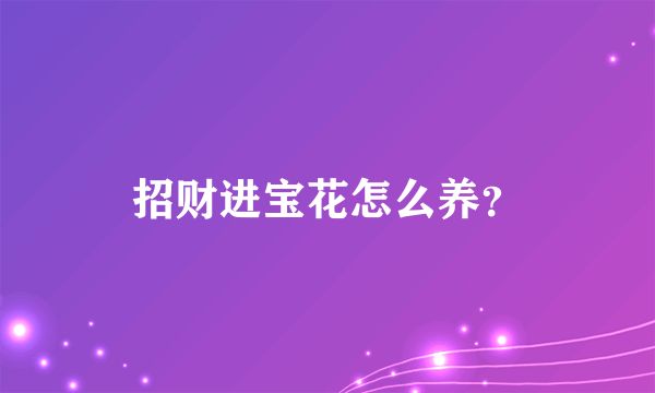 招财进宝花怎么养？