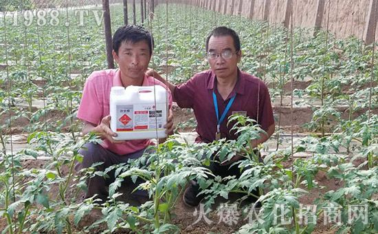  作物长好不好，多半是根出了问题！生根保根措施有哪些？