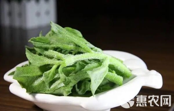 冰草，冰菜各种包装定制，全国多个基地种植货源稳定，现采现发保