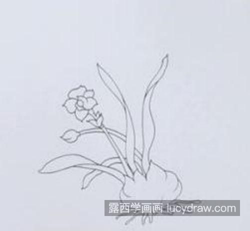 简单带颜色水仙花简笔画怎么画 又好看又简单水仙花简笔画带步骤教学