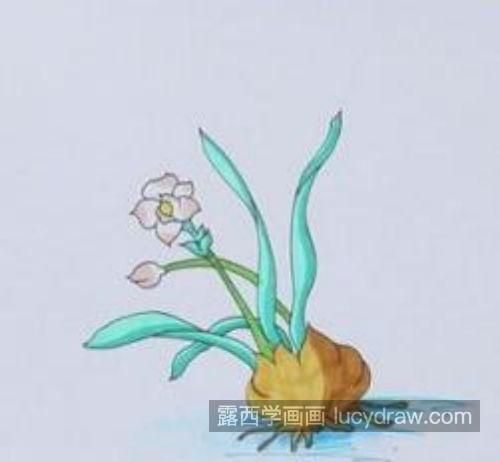 简单带颜色水仙花简笔画怎么画 又好看又简单水仙花简笔画带步骤教学