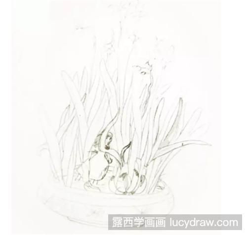 水仙花怎么画？水仙里的小仙子插画步骤有哪些？