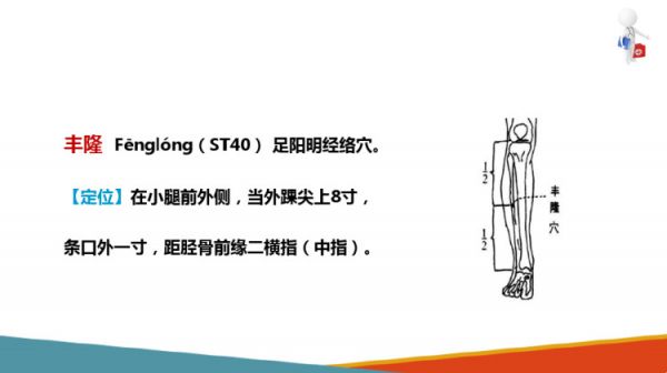 油茶栽培管理：油茶低产林改造低产林改造技术措施PPT