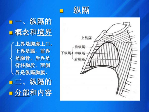 油茶栽培管理：油茶低产林改造低产林改造技术措施PPT