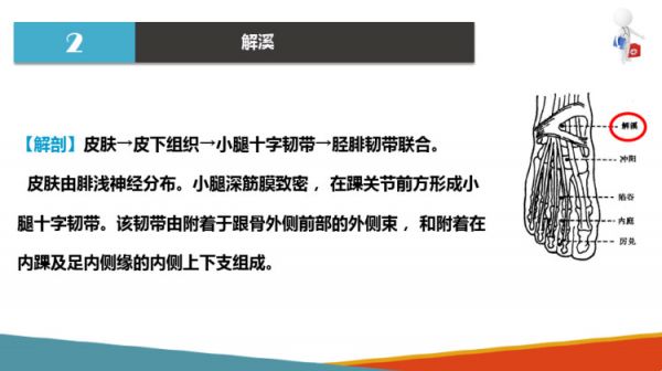 油茶栽培管理：油茶低产林改造低产林改造技术措施PPT