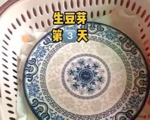 一定要学会《发豆芽》的做法 步骤4