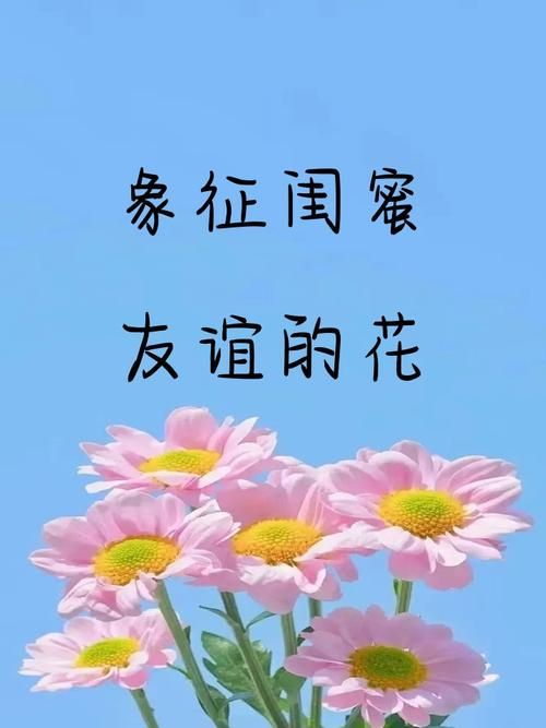 什么花语是友谊