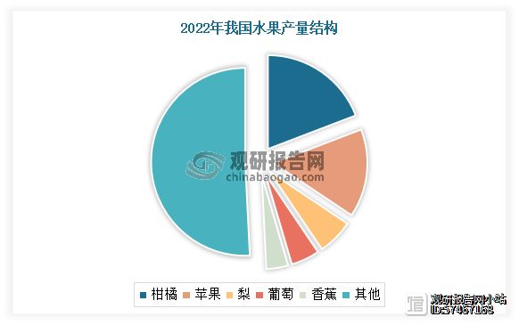 目前柑橘是我国种植面积最大、产量最高和消费量最大的水果。以产量为例，2022年在全国水果产量（31296.24万吨，约合3.13亿吨）中，柑橘产量所占比重约19.18%，较苹果产量所占比重（15.2%）高出3.98个百分点。