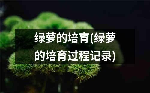 绿萝的培育(绿萝的培育过程记录)