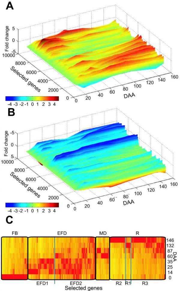 figure2