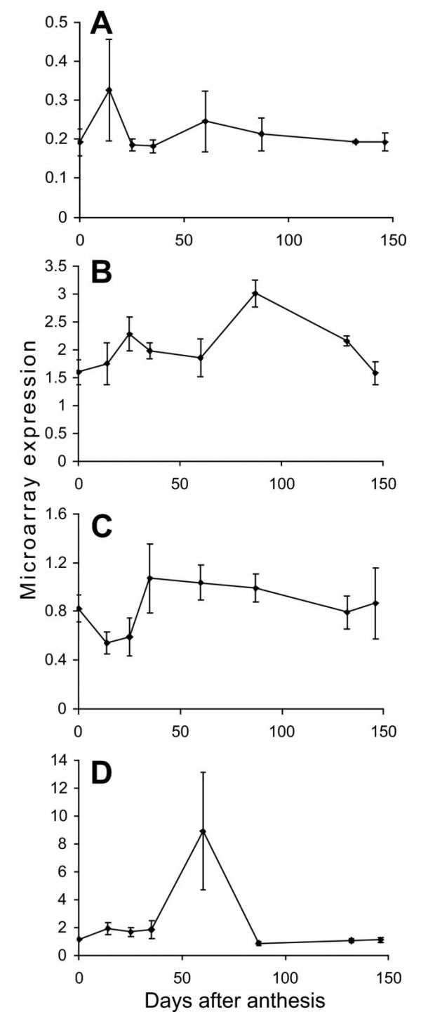 figure6