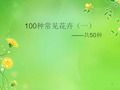 100种常见花卉ppt课件