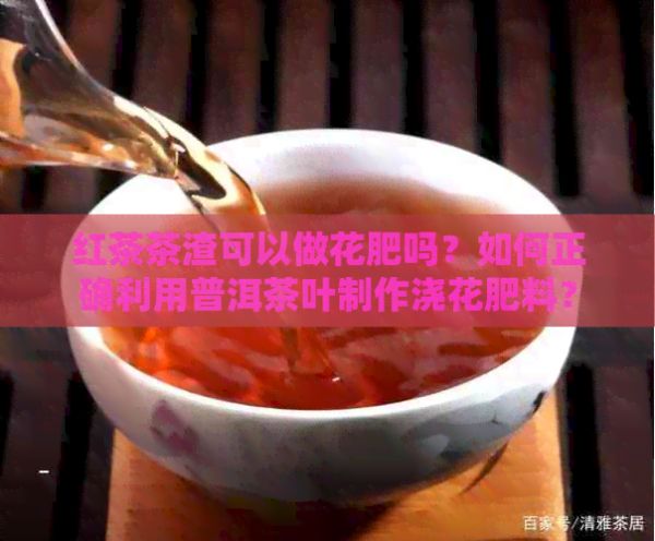 红茶茶渣可以做花肥吗？如何正确利用普洱茶叶制作浇花肥料？