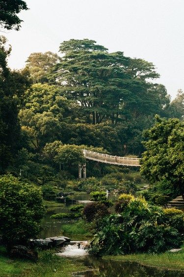 误入仙境，东莞莫奈花园！！！