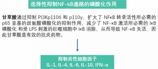 NF-κB