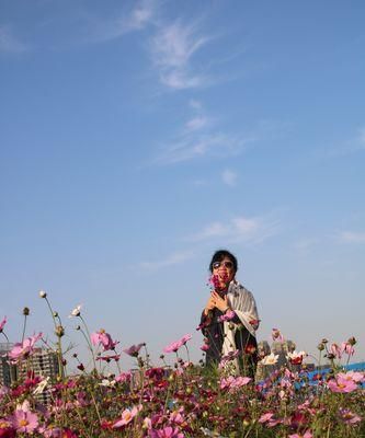 波斯菊的花语和象征意义（探寻这朵花的内涵）