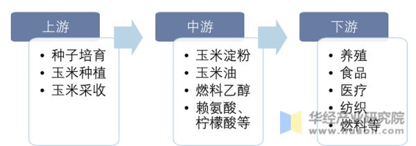 玉米深加工行业产业链