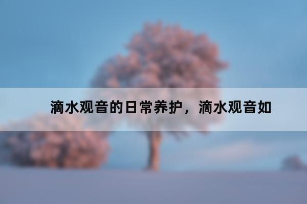 怎样养好滴水观音 滴水观音如何养护