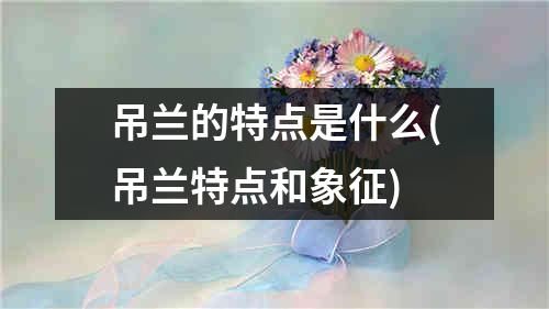 吊兰的特点是什么(吊兰特点和象征)