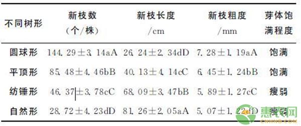 苦水玫瑰的不同树形修剪技术对鲜花产量的影响-图片版权归惠农网所有