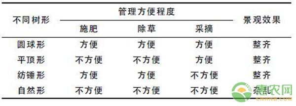 苦水玫瑰的不同树形修剪技术对鲜花产量的影响-图片版权归惠农网所有