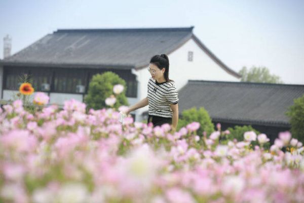 花博园花海（何梦雪 摄）