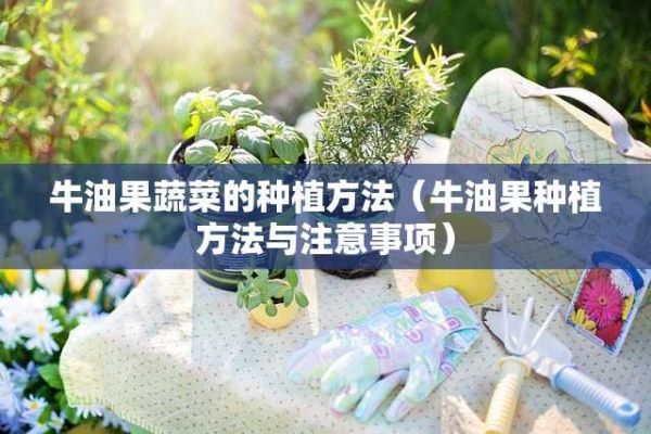 牛油果蔬菜的种植方法（牛油果种植方法与注意事项） 第1张