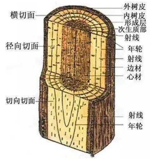 实木家具木材纹理特征与设计