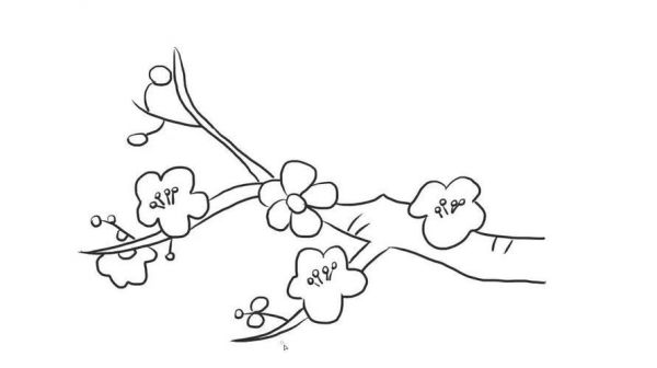 腊梅花图片简笔画 腊梅花图片绘画