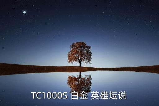 TC1000S 白金 英雄坛说