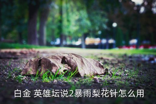  白金 英雄坛说2暴雨梨花针怎么用