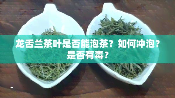 龙舌兰茶叶是不是能泡茶？怎样冲泡？是不是有毒？