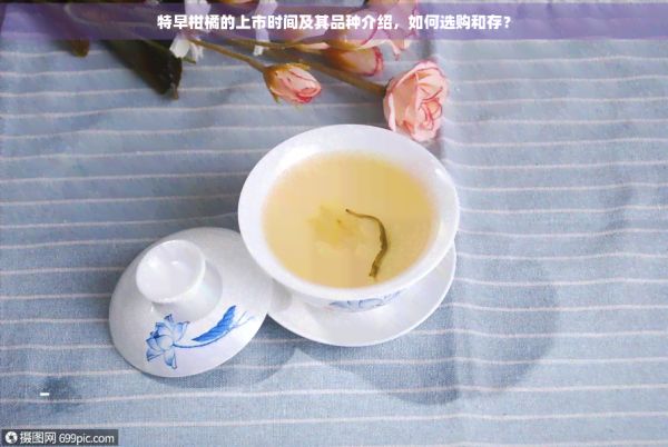 特早柑橘的上市时间及其品种介绍，如何选购和存？