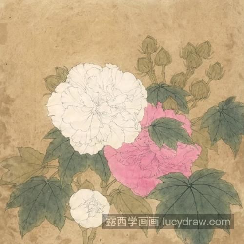 双色芙蓉花怎么画？具体有哪些绘画步骤？