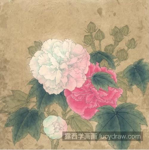 双色芙蓉花怎么画？具体有哪些绘画步骤？