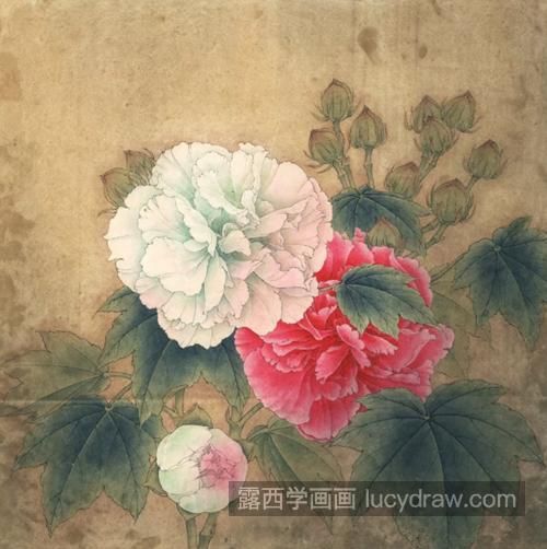 双色芙蓉花怎么画？具体有哪些绘画步骤？