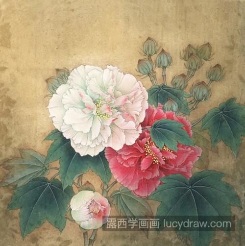 双色芙蓉花怎么画？具体有哪些绘画步骤？