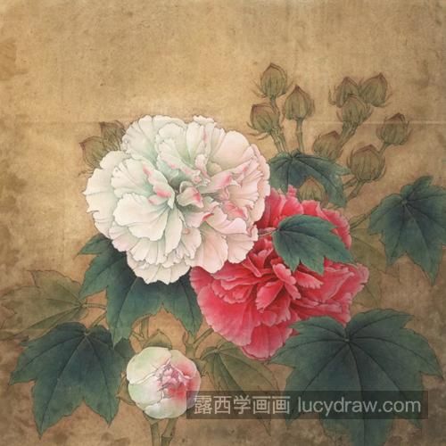 双色芙蓉花怎么画？具体有哪些绘画步骤？