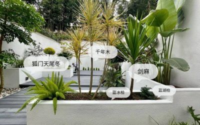 100平米现代风别墅花园植物搭配配置设计实景图示