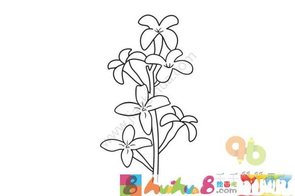 紫色的丁香花简笔画