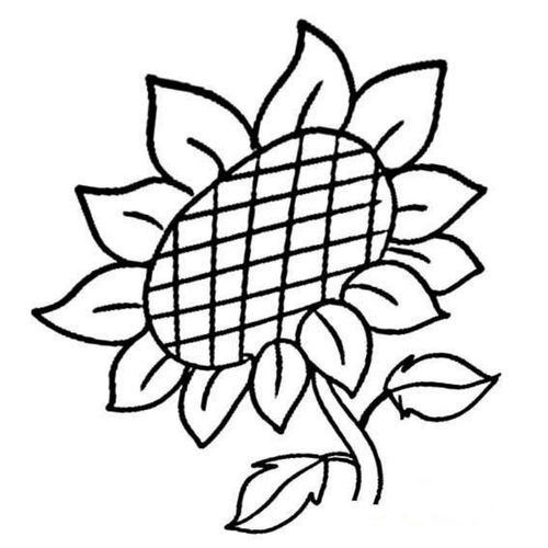 芭蕉树树叶的简笔画 大树简笔画 - 9252儿童网