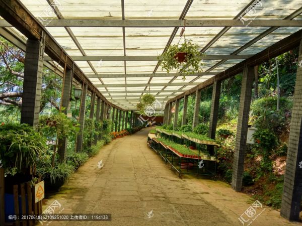 温室大棚,植物花卉培育,生态园