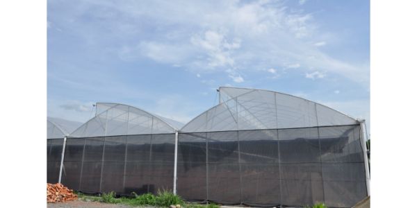 贵州高质量温室大棚推荐厂家,温室大棚