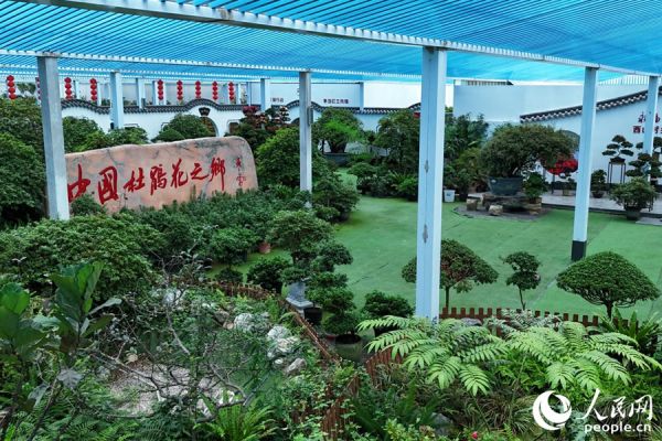 漳平市永福镇有“中国杜鹃花之乡”之称。人民网 李昌乾摄