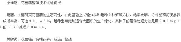 论文摘要