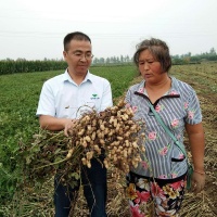 花生专用肥料，花生用什么肥料最好高产？