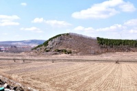 四方台馒头山和紫云岭情侣树的传说